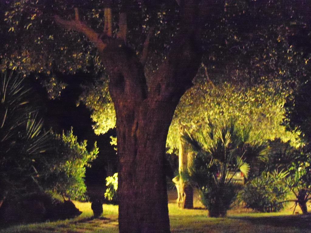 Gli Ulivi Alghero Quarto foto