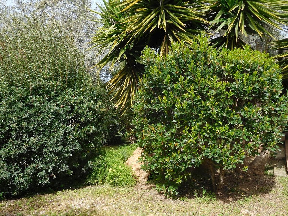 Gli Ulivi Alghero Exterior foto